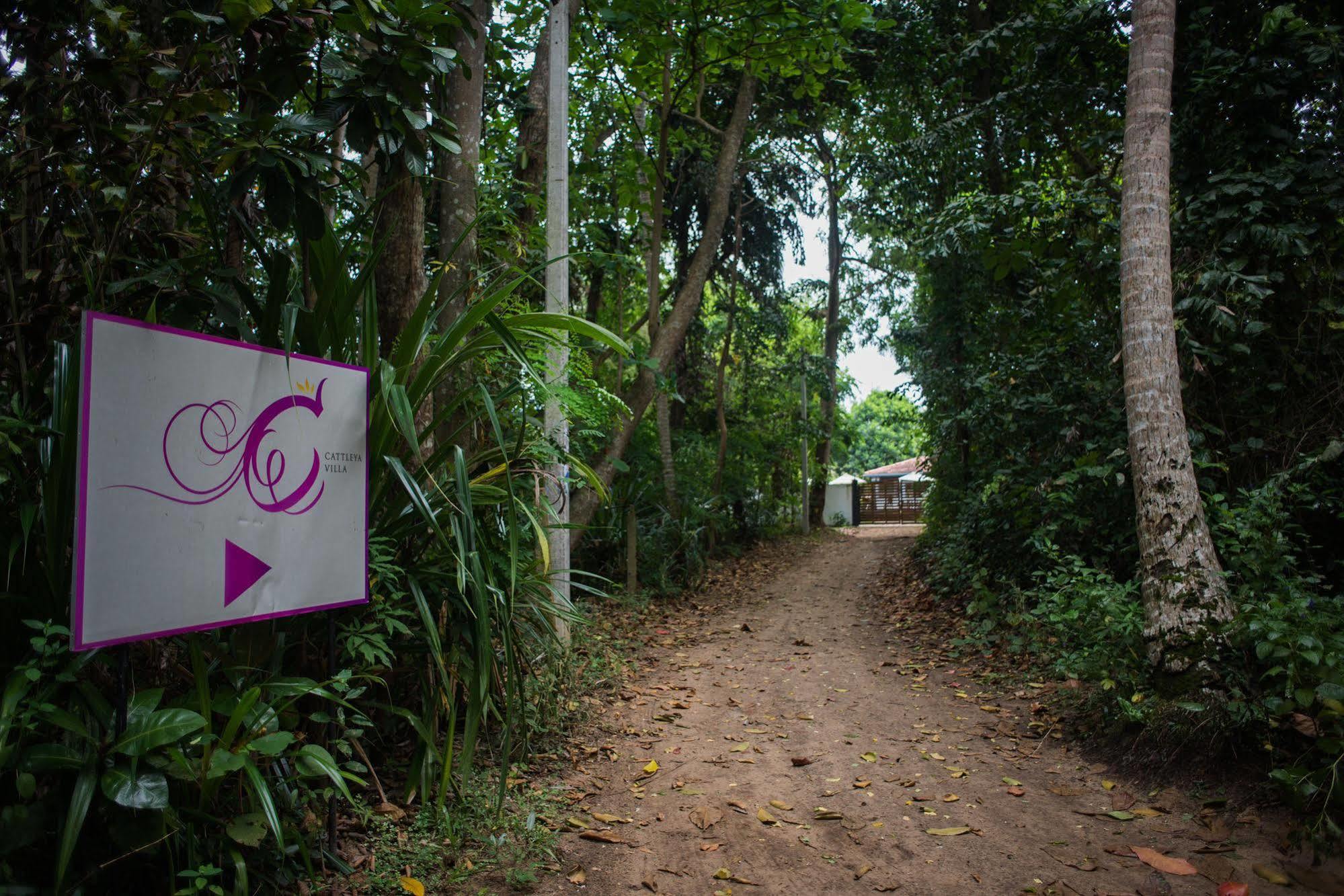 Cattleya Villa 히카두와 외부 사진